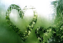 [PartyCat轰趴猫]2018.06.12 NO.148 棉花糖