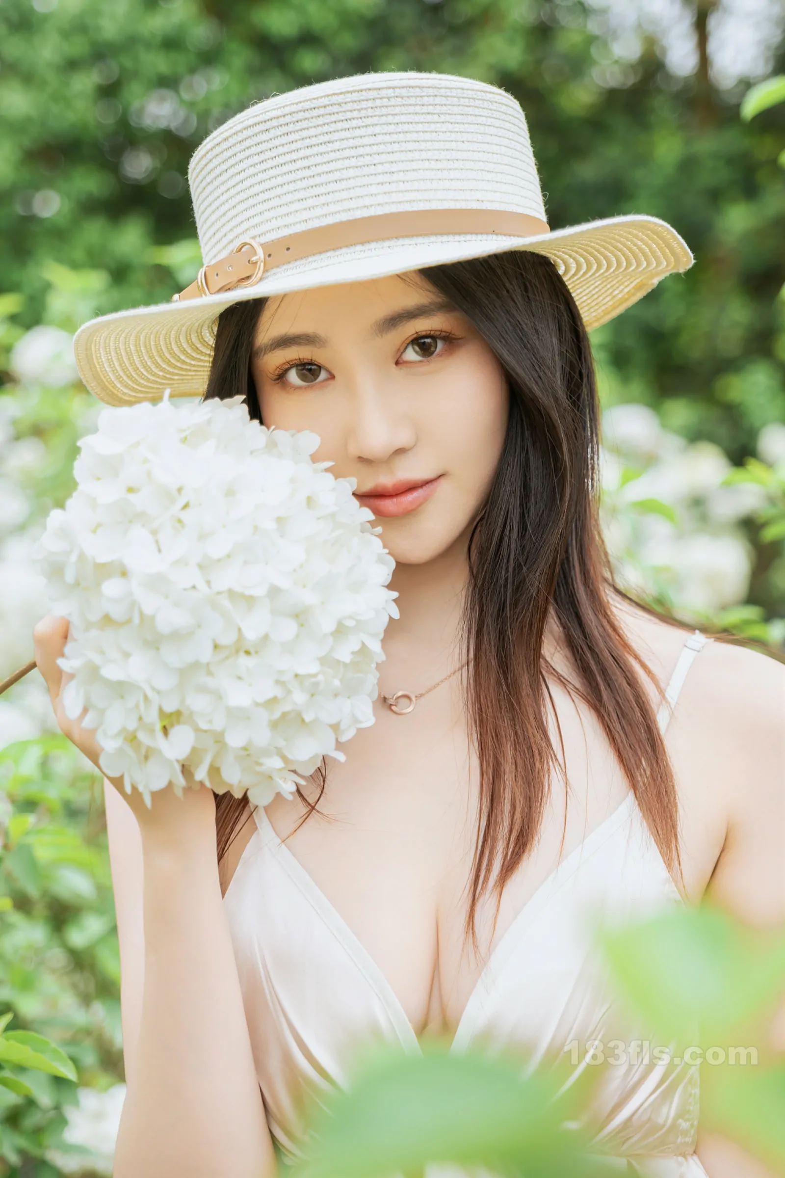 年年nnian - 木绣球